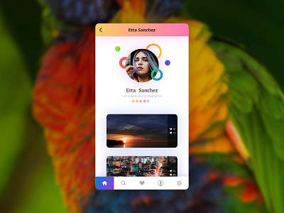 Photographers' Community App app community design gradient page photo photography profile shadow ui website