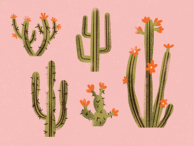 Imagens vetoriais Cactus design