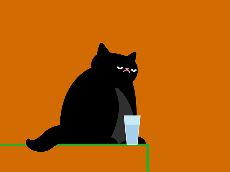 Monday Morning Mood cat gif glass unhappy water