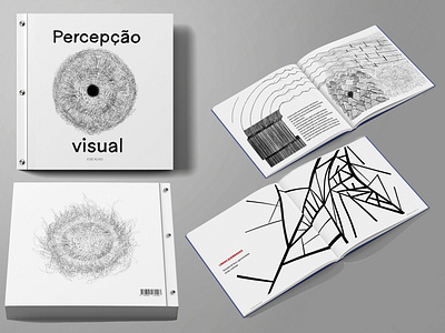 Visual Perception book