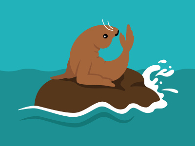 Sea Lion animal character illustration illustrator ocean sea lion seal vector