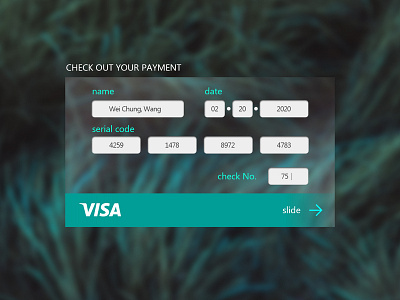 Credit Card Payment daily ui
