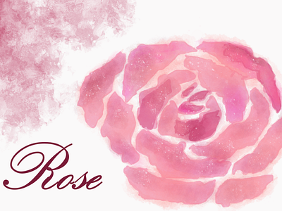 Rose