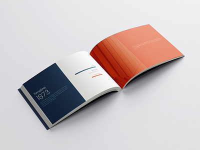 BCLP company brochure design