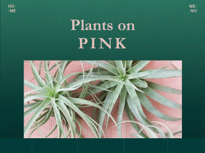 Plants on Pink animation card dailyui design gif minimal pink plants principle prototype ui web