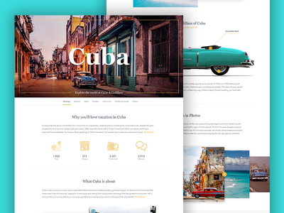 Travel Info - TripOp clean design info page responsive travel ui ux web website