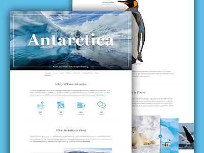 Antarctica could be fun. clean design info page responsive travel ui ux web website
