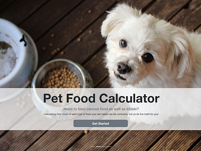 Pet Food Calculator - Homepage app design pet food prototype ui