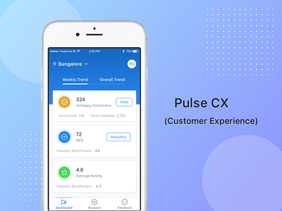 Pulse CX (Customer Experience)