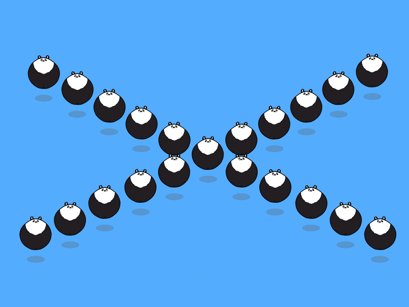 Pandas 2.5d 2d 2d animation adobe ae aftereffect animation gif illustration motion graphic