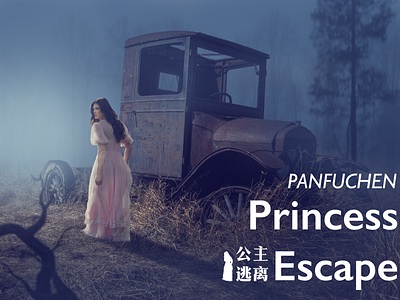 Princess Escape 365 365 daily challenge 365 days poster branding design photoshop poster poster a day poster design princess