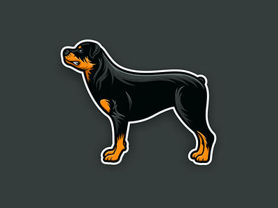 Rottweiler 2