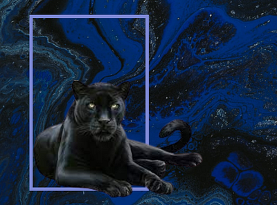 black panther animals app design graphic design illustration