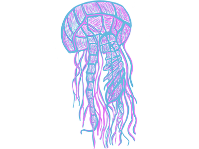 Jellyfish Illustration Experiment (Hand Drawing) animal branding bright colors concept creative hand crafted hand drawing illustration immersive jellyfish logo minimal procreate app stylized