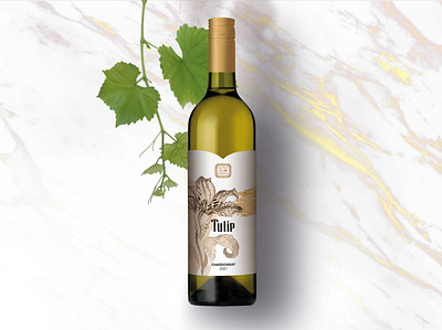 Wine label concept branding design graphic design packaging design
