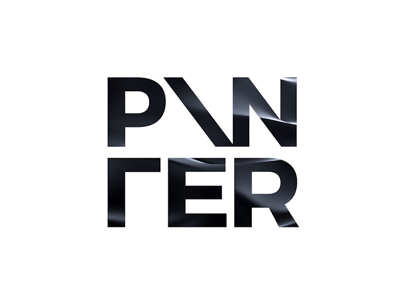 PANTER Logo Design Variations animation branding graphics identity logo logo design logotype lux luxury modern motion panter panter vision symbol type typeface typo typography typography art video