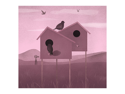 Bird Houses