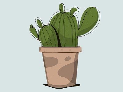 Cactus cactus drawing illustraion plant