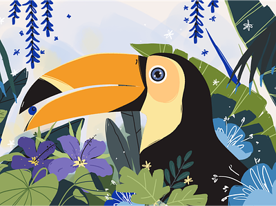 Toucan advertising animal animation bird eye handdrawn illustration leaves nature toucan