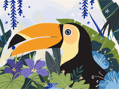 Toucan advertising animal animation bird eye handdrawn illustration leaves nature toucan