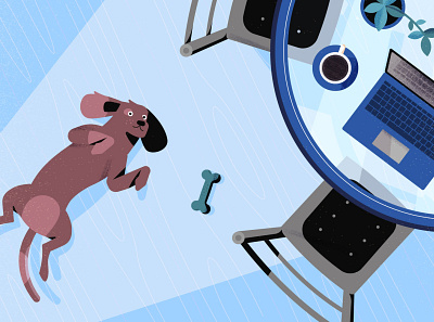 Good boy! after effects animal animals animation branding design dog dogs fun funny illustration laptop light room vector