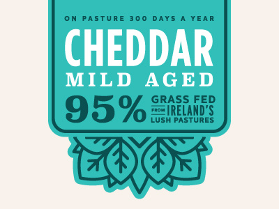 Cheddar Cheese Lockup cheese dairy grass fed ireland pasture