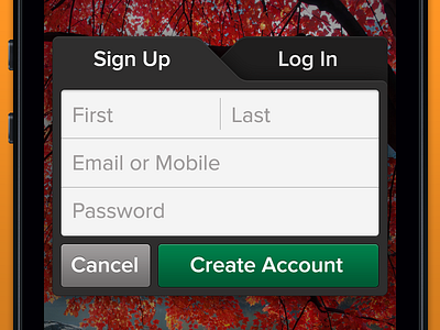 Sign Up / Log In modal for iOS app