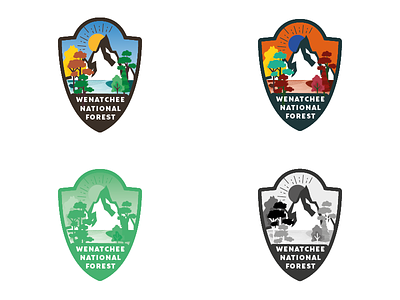 Wenatchee National Forest Logo Design Challenge 25 challenge logo logo design san claire thirtylogos