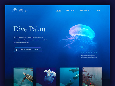 First Fathom Diving School design digital diving grid icon icons logo menu navigation ui ux web