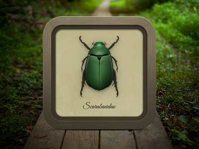 Scarab Beetle apple beetle forest icon insect ios iphone light scarab wood