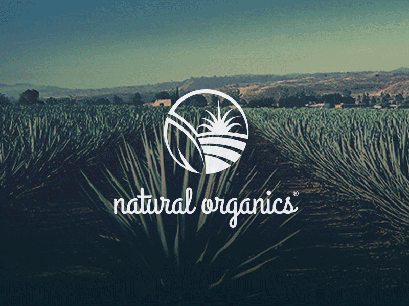 Natural Organics - Branding