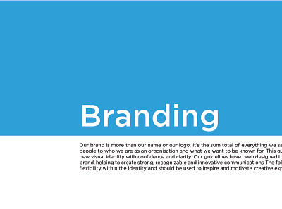 BRAND GUIDELINES DESIGN any kind of design banner design brand book design brand design brand guidelines branding design graphic design illustration stationery design