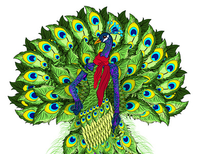 PEACOCK ILLUSTRATION DESIGN