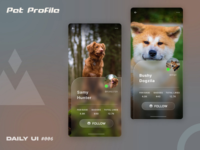 Pet Profile - #DailyUI006