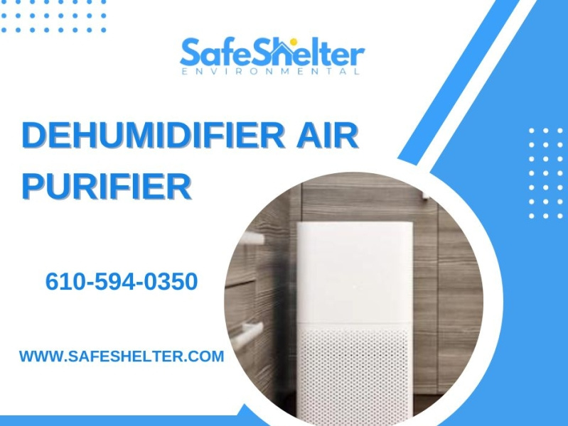 Dehumidifier Air Purifier Safe Shelter Environmental by Safe Shelter