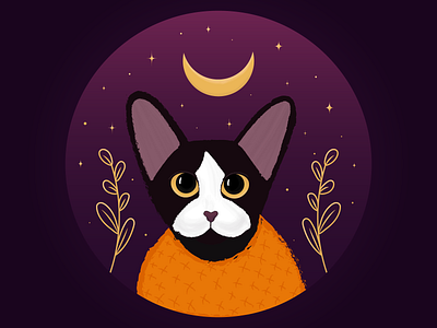 Black cat adobe illustrator art black cat cat design halloween illustration kitty moon night orange purple stars vector vector illustration