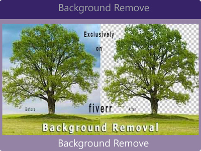 Background Remove attractive background background remove cut out design editing gorgeous nice photo photo editing photoshop editing removal remove transparent