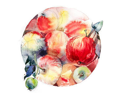 Apple apple aquarelle drawing illustration summer watercolor