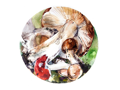 Mushrooms aquarelle drawing illustration mushroom summer watercolor