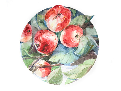 Apples on a branch_03 apple aquarelle drawing illustration summer watercolor