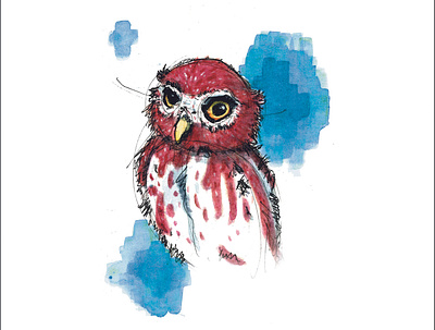 Caburé animals draw illustration ink nature owl watercolor