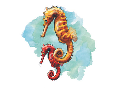 Cavalo Marinho animals digital draw illustration nature painting seahorse