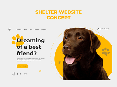 Shelter WebDesign Concept branding design figma landing page shelter ui ux web design