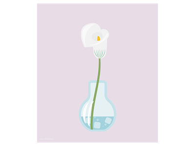 White calla Zantedeschia in a flask adobeillustrator blooming blossom chemistry fresh nature plant summer vase vector
