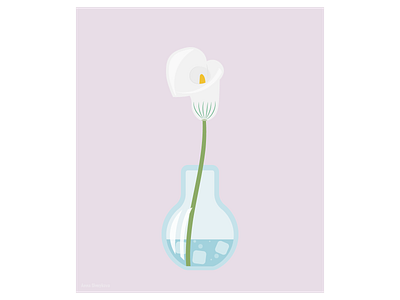 White calla Zantedeschia in a flask