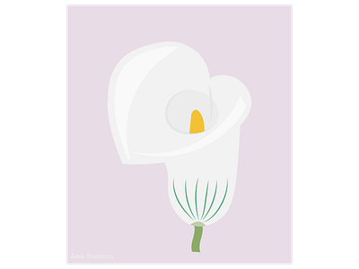 White flower closeup