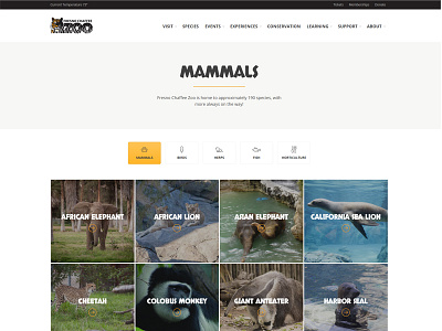 Fresno Chaffee Zoo - Species Overview Page archive category directory landing page layout listing overview responsive