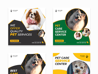 #Pet#Petcare#PetBanner#PetSocial#PetCarebanner#SocialBanner#Pets animation app branding design graphic design ill illustration logo motion graphics vector