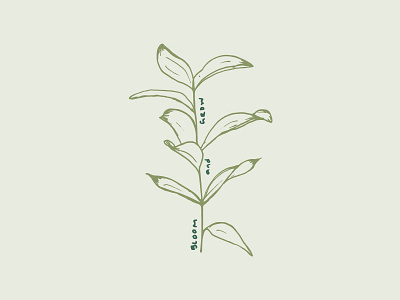 Bloom & Grow botanical illustration illustration leaves plant