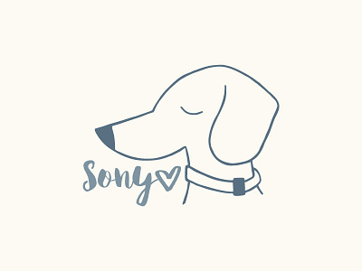 Sony the Doxie dachshund dog illustration